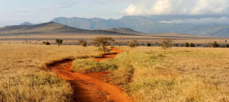 Seguro de viaje para Kenia y África con Go! Assistance: cobertura especializada para safaris y aventuras en la naturaleza.